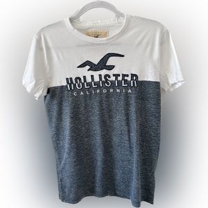 Hollister Short Sleeve Tee. Size Men’s S. Color White and Grey.